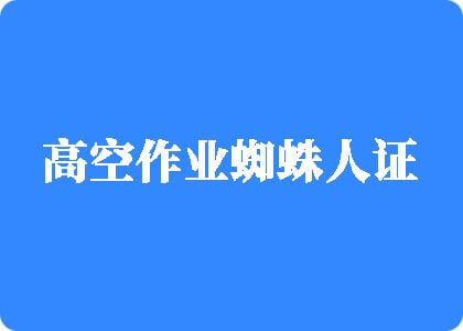 男女日逼视频高空作业蜘蛛人证